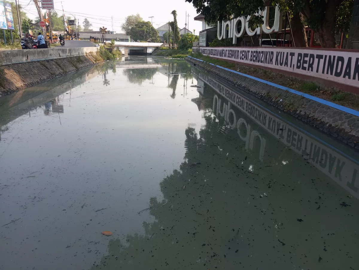 Ironi Lingkungan Pesantren: Ketika Bau Menyengat Limbah Mengepung Sungai Rejoso Jombang